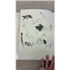 Image 7 : Glen Loates Birds of North America By Ross James 1979, First Edition