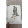 Image 8 : Glen Loates Birds of North America By Ross James 1979, First Edition