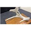 Image 4 : Hand-Carved Eagle Sculpture on Deer Antler with Wooden Base, 10 × 11 × 7”