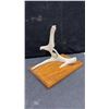 Image 5 : Hand-Carved Eagle Sculpture on Deer Antler with Wooden Base, 10 × 11 × 7”
