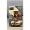 Image 4 : Halloween Décor Lot: Pumpkin Lawn Stakes, Witch Pumpkin, Jack-o'-Lantern, Lights