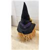 Image 6 : Halloween Décor Lot: Pumpkin Lawn Stakes, Witch Pumpkin, Jack-o'-Lantern, Lights