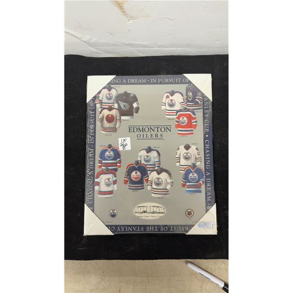 Edmonton Oilers "Chasing a Dream - In Pursuit of the Stanley Cup" Framed Jersey History Print