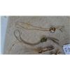 Image 2 : Collection of Bolo Ties: Tiger's Eye, Agate, and Other Stone and Metal Bolo Ties