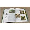 Image 6 : "The Great Encyclopedia of Mushrooms" by Jean-Louis Lamaison and Jean-Marie Polese, Hardcover