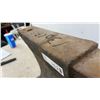 Image 5 : HAY BUDDEN 125 Lbs. Anvil