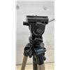 Image 6 : Velbon CX 686 and Giottos VT-806 Professional Video Tripods