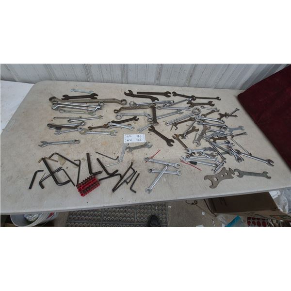 Assorted Wrenches and Hex Keys: metric and standard