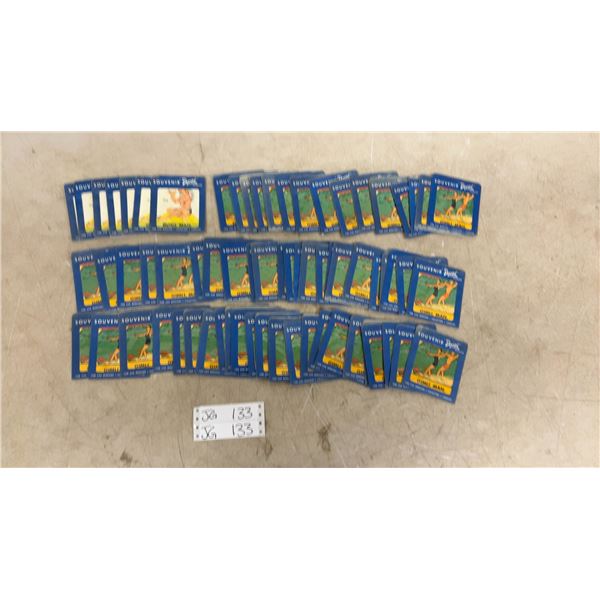 68 Vintage Gimli Manitoba Souvenir Decal Transfers
