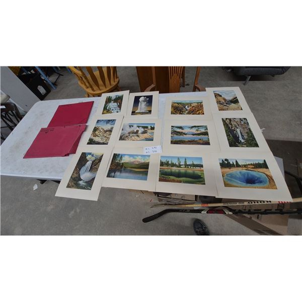 12 Yellowstone National Park Prints and Envelopes, Haynes Studios Inc.