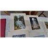 Image 5 : 12 Yellowstone National Park Prints and Envelopes, Haynes Studios Inc.