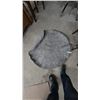Image 4 : 2 Wood Folding Chairs and Round Gray Rug