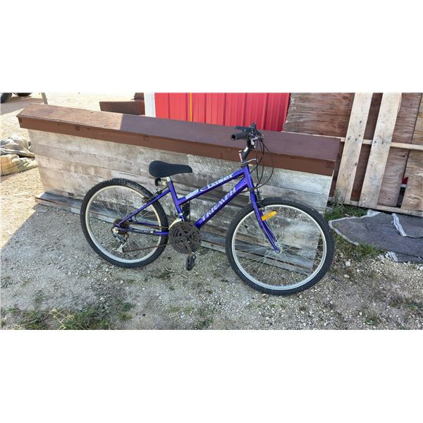 Variable Speed Youth Bicycle