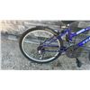 Image 3 : Variable Speed Youth Bicycle