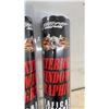 Image 2 : Two Pilot Exterior Window Graphic Skull with Flames Design 16” x 32” and 2 Packages Pin Striping
