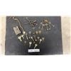 Image 1 : Skeleton Keys