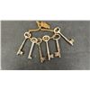 Image 4 : Skeleton Keys