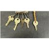 Image 5 : Skeleton Keys