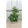 Image 5 : 5 Artificial Plants in Pots