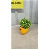 Image 8 : 5 Artificial Plants in Pots