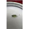 Image 14 : Blue Green Sapphire, Green Tourmaline, and Green Sapphire Pear Shaped Gemstones