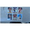 Image 5 : Hockey Card Collection