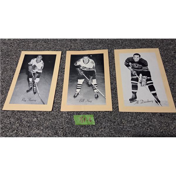 3 NHL Beehive Photos Chicago Blackhawks Fleming, Hay, Dewsbury.