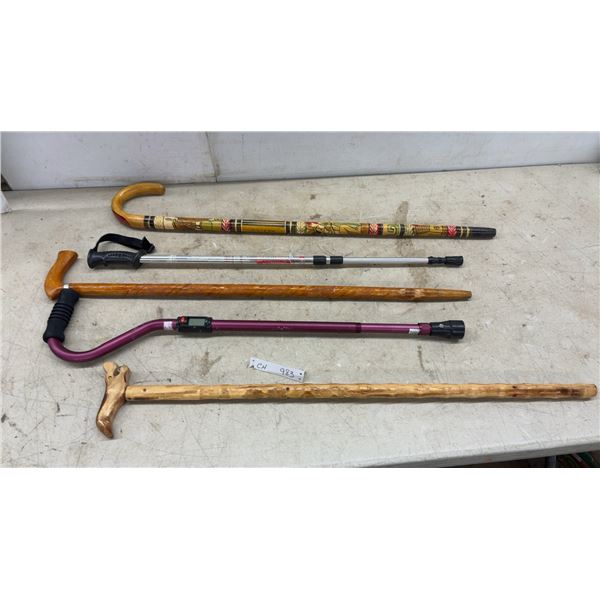 Assortment of 5 Walking Canes Including Mexico Painted, Trekking Pole, Carved Animal Head