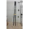 Image 5 : Lampinen and Skilom Light Touring Cross-Country Skis, 6 Ski Poles