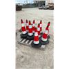 Image 1 : 12 Pylons 28” Tall