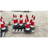 Image 4 : 12 Pylons 28” Tall