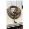 Image 6 : 2 Harness Yokes (Horse Collar)