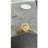 Image 12 : 35 Pcs Military Buttons