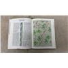 Image 5 : English Garden Embroidery: 80 Original Needlepoint, Embroidery Charts and Patterns of Flowers