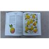Image 8 : English Garden Embroidery: 80 Original Needlepoint, Embroidery Charts and Patterns of Flowers