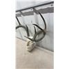 Image 4 : Deer Antlers with Human Cast Face Mask