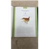 Image 7 : Bird Songs: 250 North American Birds in Song and Illustrations by Les Beletsky