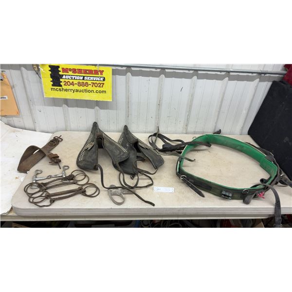 2 Harness Hames Covers, 5 Mouth Bits, and Buckingham Climbing/Work Saddle