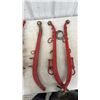 Image 2 : Horse Hames