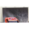 Image 2 : General Lee Canvas Photo - 23.5” x 35.5”