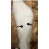 Image 3 : Vintage Multi-Pelt Fur Stole and Muff Purse