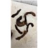 Image 6 : Fur Collars and Pelt Pieces