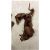 Image 7 : Fur Collars and Pelt Pieces