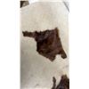 Image 8 : Fur Collars and Pelt Pieces
