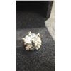 Image 4 : 925S 0.8ct Each Simulated Diamond Swirl Stud Earrings in 925S With White Gold Overlay