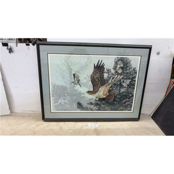"Redtail Pursuit" John Salsnek Signed, Framed Limited Edition Print, Numbered 340/600. 31 × 41”