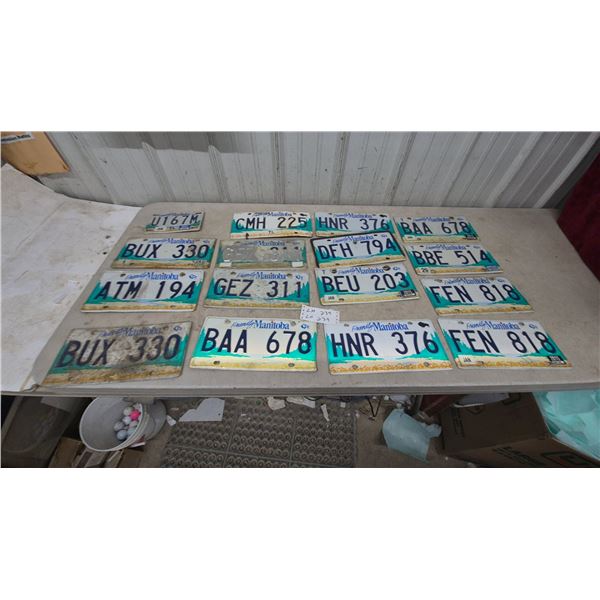 Lot of 16 Friendly Manitoba License Plates, 2002-2017, Includes BUX 330, ATM 194, FEN 818