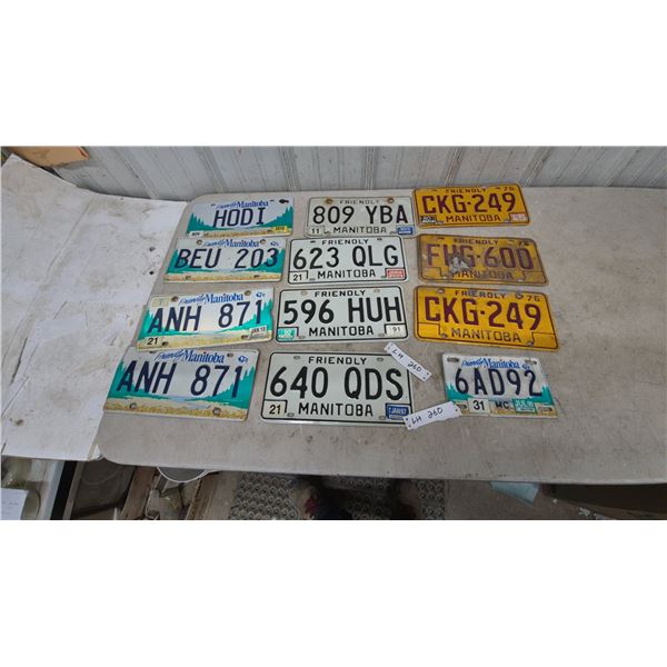 Collection of Twelve Friendly Manitoba License Plates, 1976-2018, Various one motorcycle