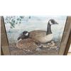 Image 5 : Framed Print "First Born" by Jan Bain, 2003 South Interlake Canada Goose Shoot Medallion