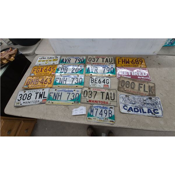 Collection of Manitoba License Plates Including "Friendly Manitoba" and Novelty Plates